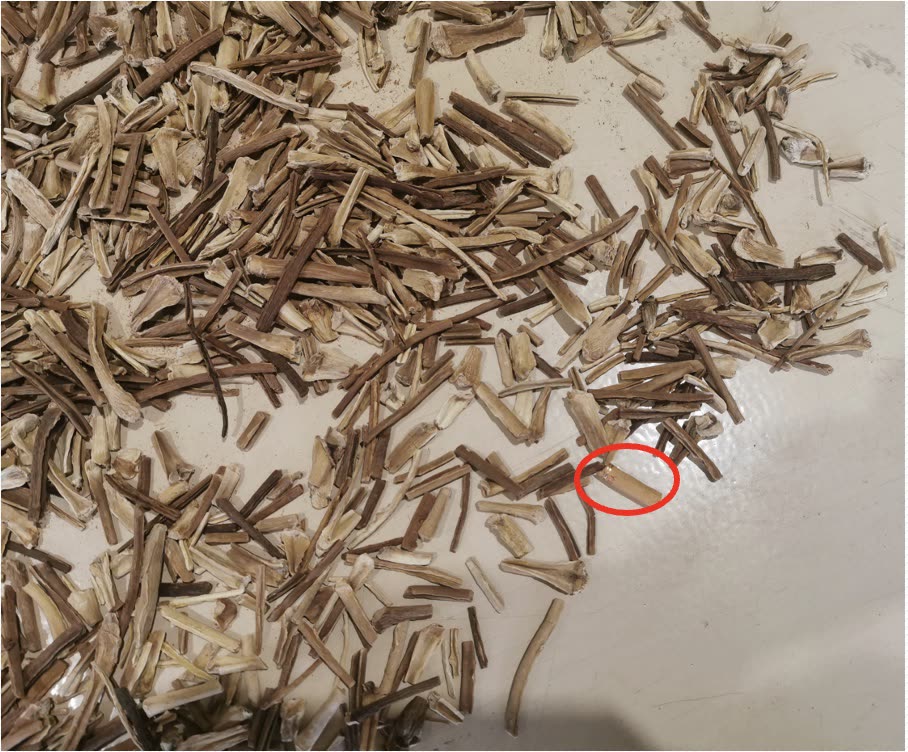 与烟梗高度相似的杂质